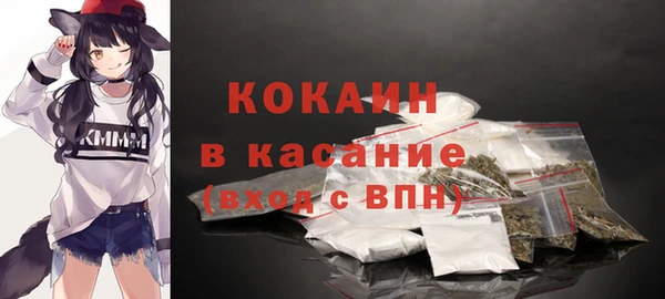 индика Лабытнанги