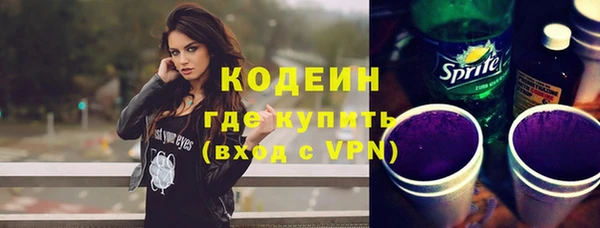 индика Лабытнанги