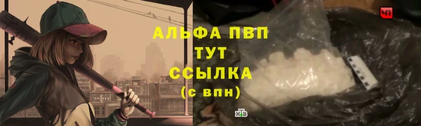 сатива Липки