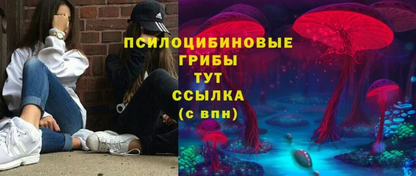 индика Лабытнанги