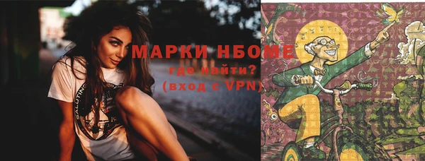 индика Лабытнанги