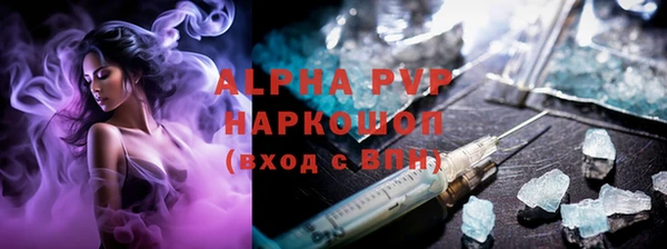 индика Лабытнанги