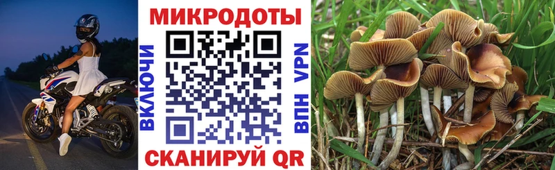 хочу Краснодар гидра ONION Псилоцибиновые грибы Magic Shrooms