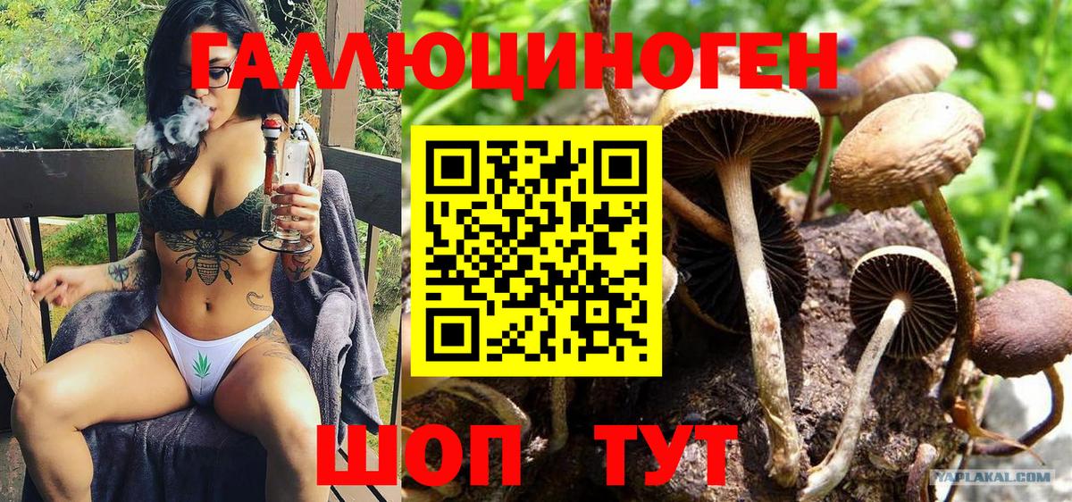 Краснодар  Псилоцибиновые грибы мицелий  где можно купить наркотик  Вход с VPN 