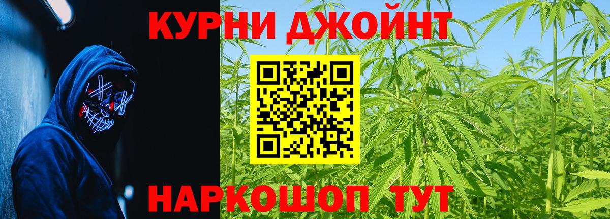 Краснодар  Конопля гибрид  Каннабис план  Шишки марихуана планчик  Канабис сатива  Вход с VPN 